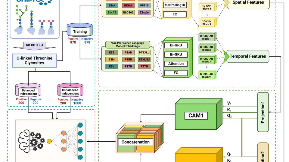 DOGpred: A Novel Deep Learning Framework for Accurate Identification of Human O-linked Threonine Glycosylation Sites