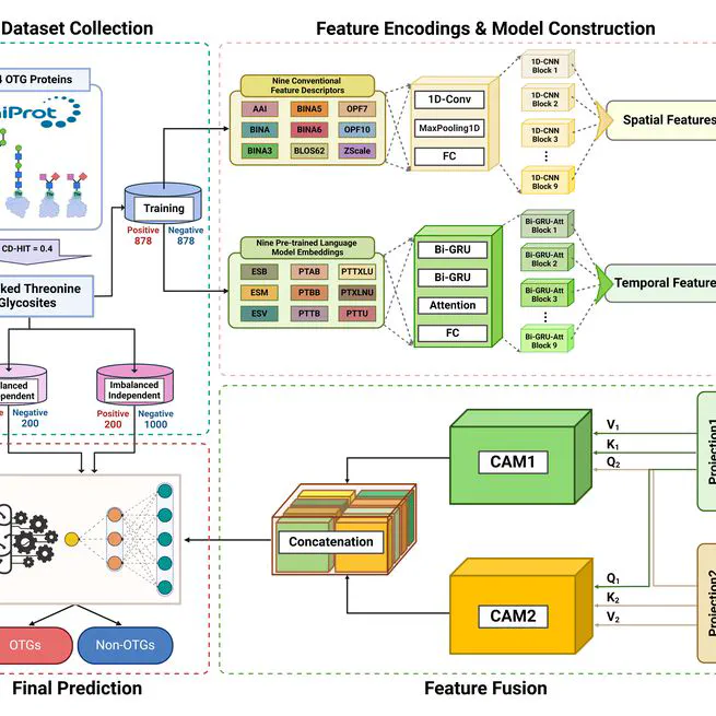 DOGpred: A Novel Deep Learning Framework for Accurate Identification of Human O-linked Threonine Glycosylation Sites